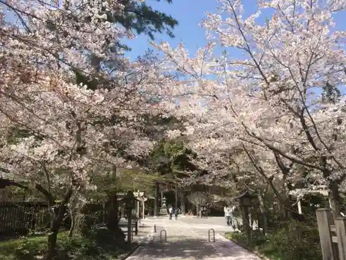 高麗神社の自然