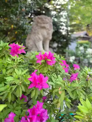 八柱神社（荒尾）(愛知県)
