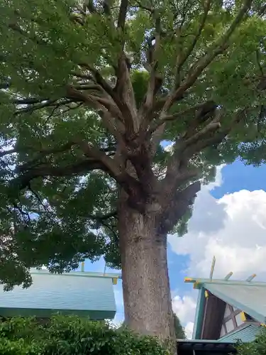 髙部屋神社(神奈川県)