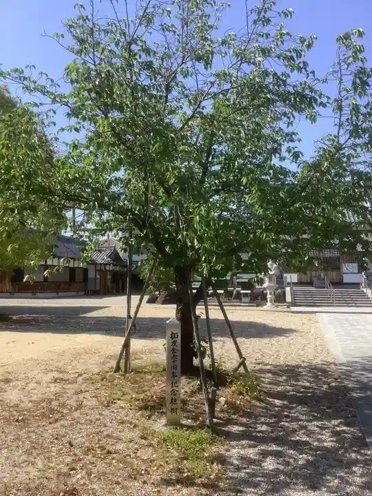 本地ヶ原神社の自然
