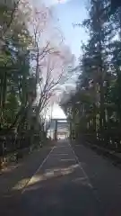 伊波乃西神社の自然