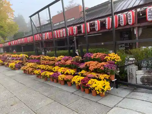 笠間稲荷神社の庭園