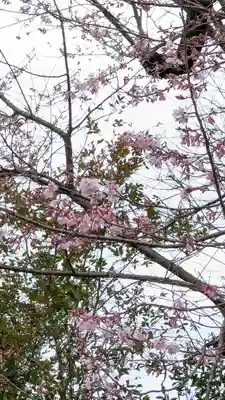 大豊神社(京都府)