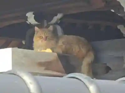 西性寺(和歌山県)