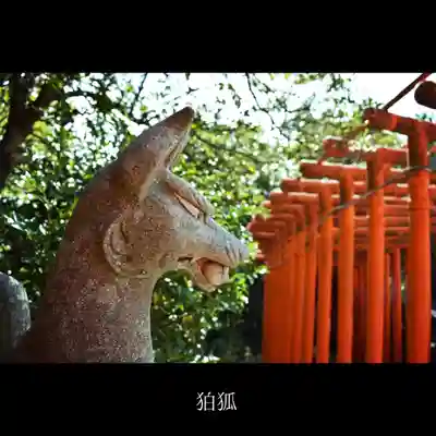 福徳稲荷神社の狛犬