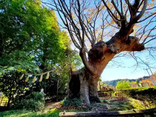 緑水神社の自然