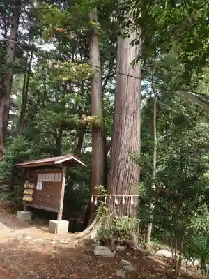 鎌形八幡神社の自然