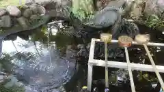 若宮神明社の手水