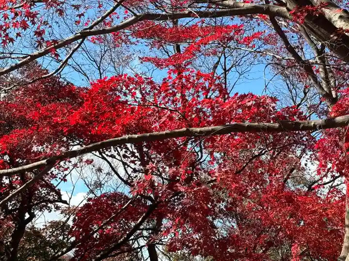 足利織姫神社(栃木県)