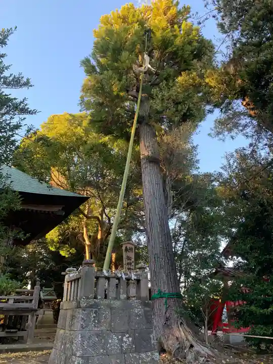 白幡八幡神社(千葉県)