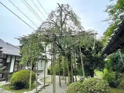 徳乗坊(滋賀県)