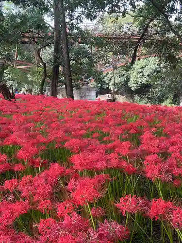 高麗神社(埼玉県)