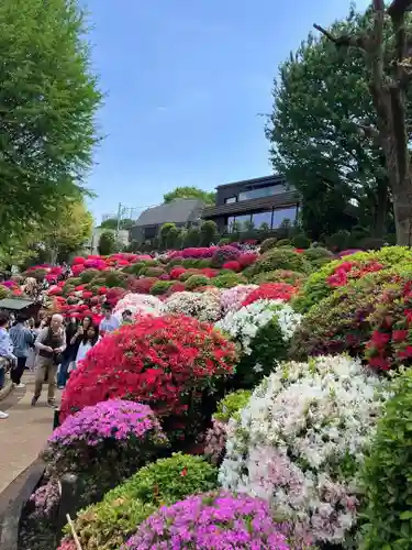 根津神社(東京都)