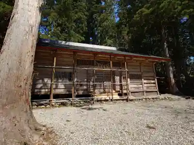 白山中居神社の{uncategorized: "未分類", other: "その他", undefined: "問題あり", building: "その他建物", grave: "お墓", sacred_gate: "鳥居", guardian: "狛犬", statue: "像", buddha: "仏像", history: "歴史", nature: "自然", garden: "庭園", animal: "動物", pagoda: "塔", temizu: "手水舎", mountain_gate: "山門・神門", sanctuary: "本殿・本堂", subordinate: "末社・摂社", art: "芸術", scenery: "景色", jizo: "地蔵", ema: "絵馬", goshuin: "御朱印", omikuji: "おみくじ", items: "授与品その他", amulet: "お守り", goshuincho: "御朱印帳", eats: "食事", festival: "お祭り", votive_dance: "神楽", shichigosan: "七五三参", wedding: "結婚式", experience: "体験その他", initially: "初詣", around: "周辺", anti_infection: "感染症対策"}