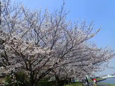 天照皇大神(神奈川県)