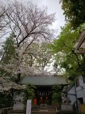 神明氷川神社の本殿・本堂
