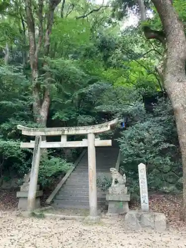 徳光院の鳥居