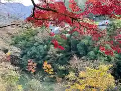 永源寺の自然