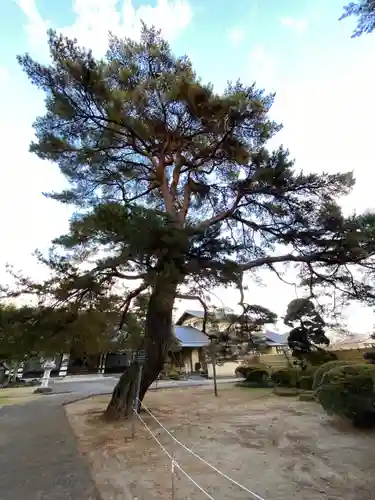 東昌寺(宮城県)