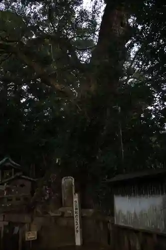 生目神社(宮崎県)