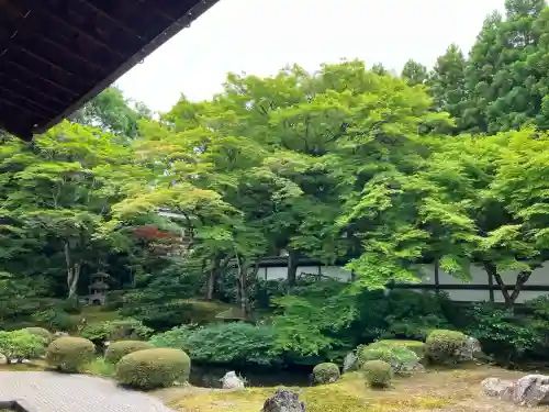 御寺 泉涌寺(京都府)