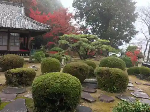 行基寺の庭園