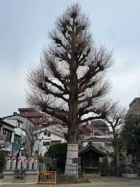 福王山 慈眼寺(東京都)
