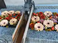 川越八幡宮(埼玉県)