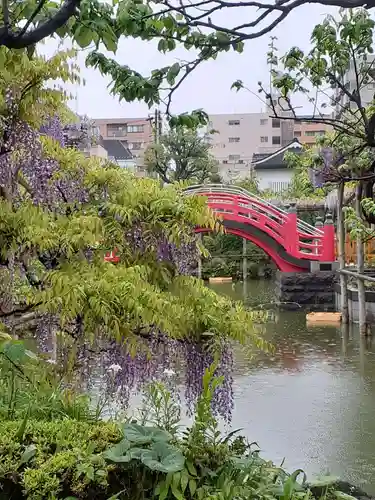 亀戸天神社の景色