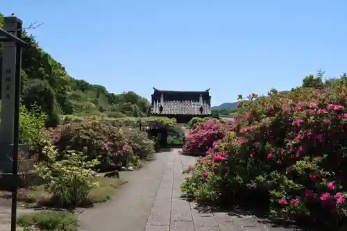 長泉寺の庭園