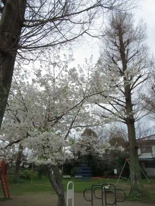 龍ケ崎八坂神社(茨城県)
