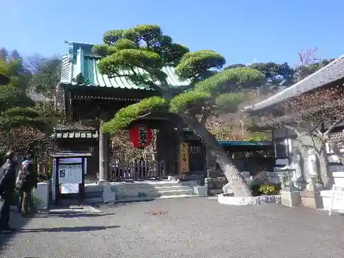 長谷寺の山門・神門