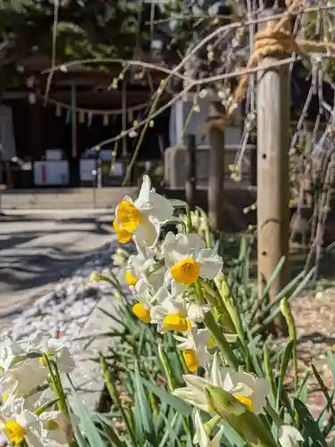 鳩森八幡神社(東京都)