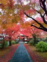 正樂寺(宮城県)