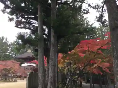 壇上伽藍(和歌山県)