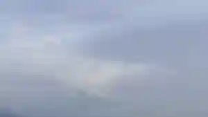 光明寺(静岡県)(2024年04月21日(日) 23時15分40秒投稿)