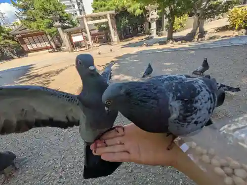 四柱神社(長野県)