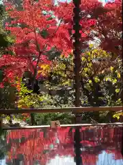 霊源院(京都府)