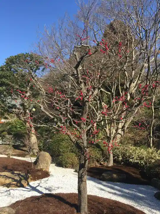 浄妙寺(神奈川県)