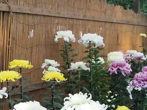 彌彦神社の自然