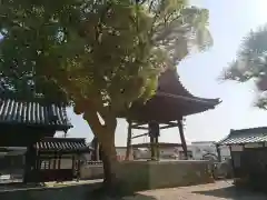 昌福寺の建物その他