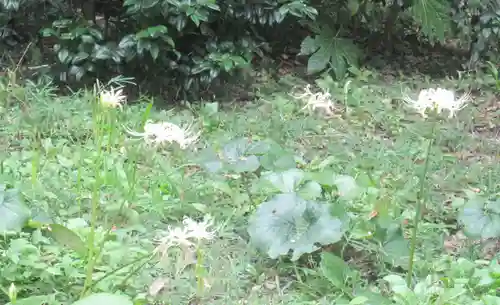 宝戒寺(神奈川県)