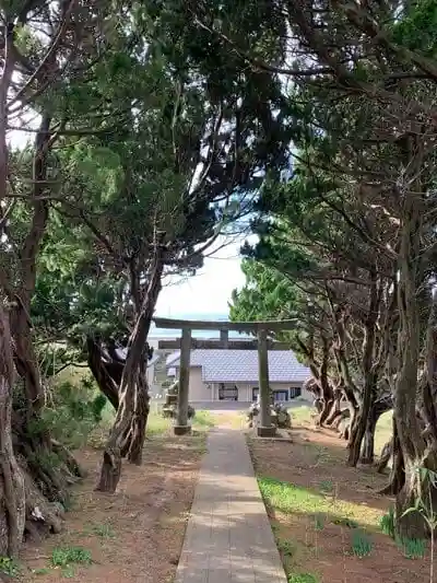 大杉神社の鳥居