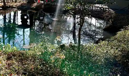 調神社の庭園