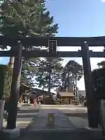 中野沼袋氷川神社の鳥居