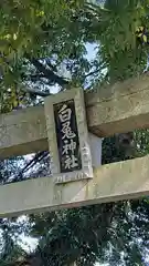 福本白兎神社(鳥取県)