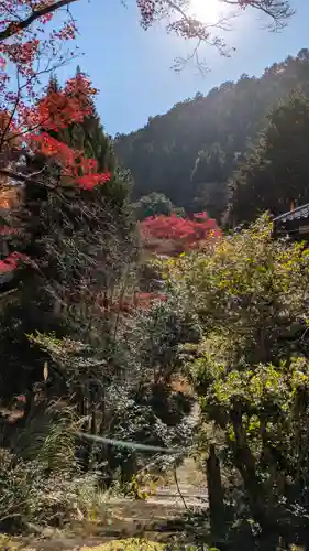 吟松寺(京都府)