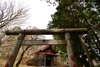 大山阿夫利神社本社の鳥居