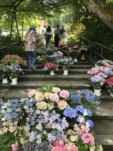 岡寺（龍蓋寺）(奈良県)