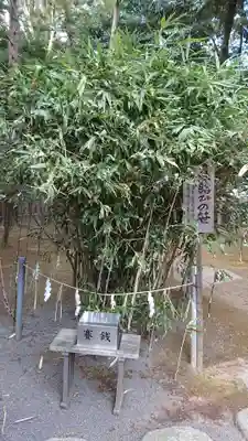常陸第三宮 吉田神社のその他建物